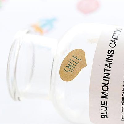 Набор стикеров "Ассорти" (кактусы)