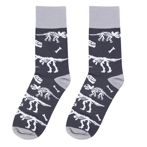 Носки "Динозавры", разм.40-45