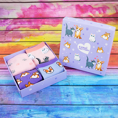 Набор носков в коробке "Корги и котики"