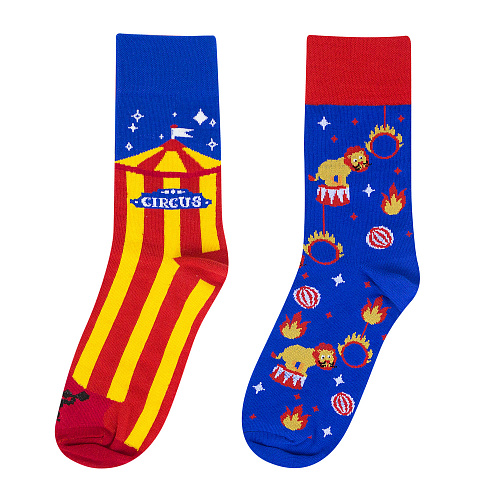 Носки "Цирк", разм.40-45
