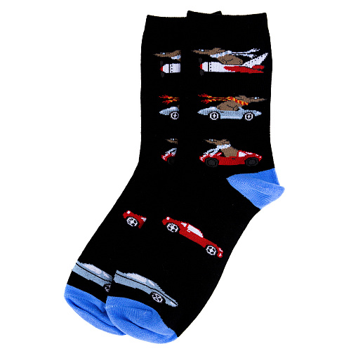 Носки "Гонки", разм.40-45