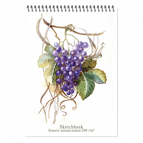 Блокнот-скетчбук А4 20л, " Aquarelle" виноград