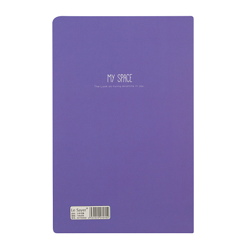 Тетрадь "My space" (мальчик с собакой)