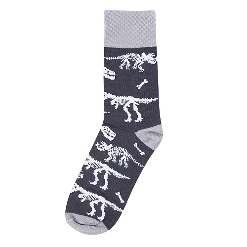 Носки "Динозавры", разм.40-45
