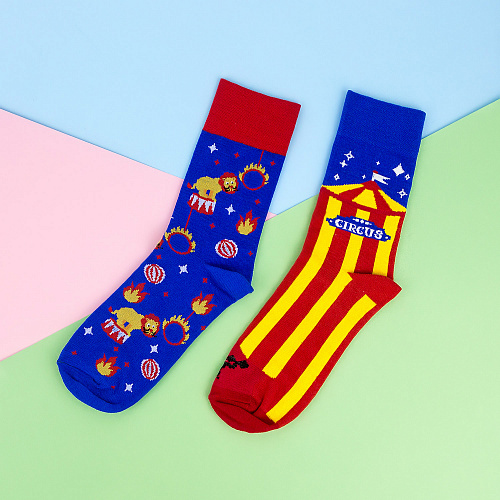Носки "Цирк", разм.40-45