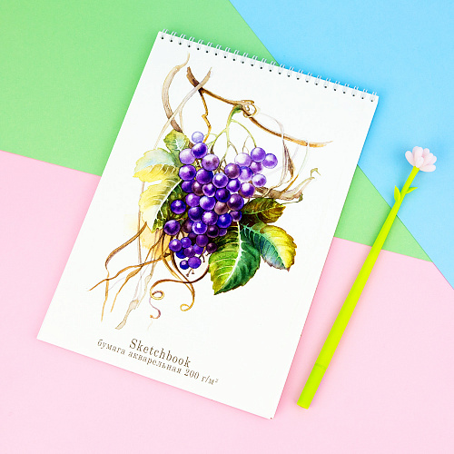 Блокнот-скетчбук А4 20л, " Aquarelle" виноград
