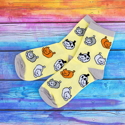 Носки "Разные коты", разм.35-39