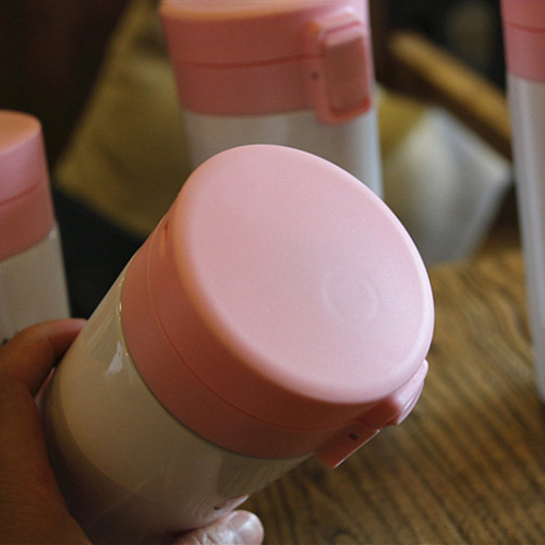 Термостакан "Фламинго и кактус"