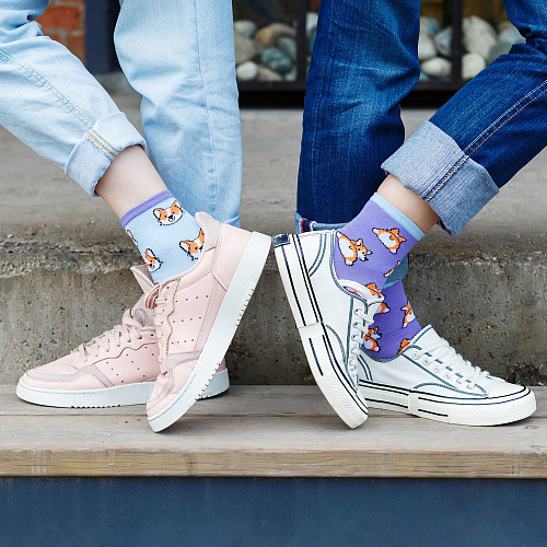 Набор носков в коробке "Корги и котики"