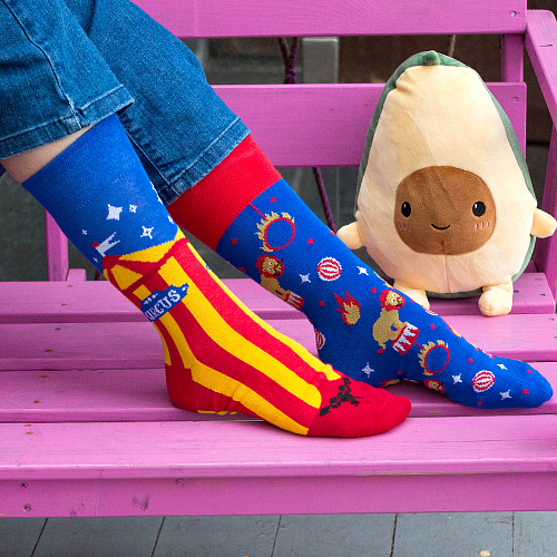 Носки "Цирк", разм.40-45