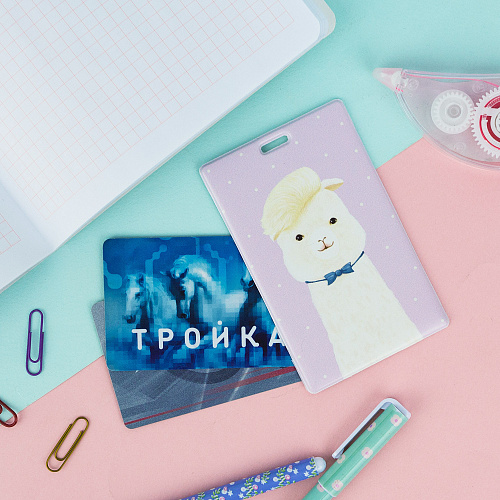 Чехол для магнитной карты "Альпака"