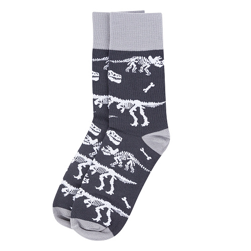 Носки "Динозавры", разм.40-45