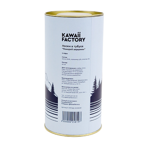 Носки в тубусе (2 пары) "Покоряй вершины", разм.40-45