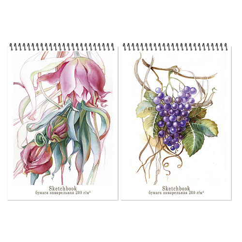 Блокнот-скетчбук А4 20л, " Aquarelle" роза