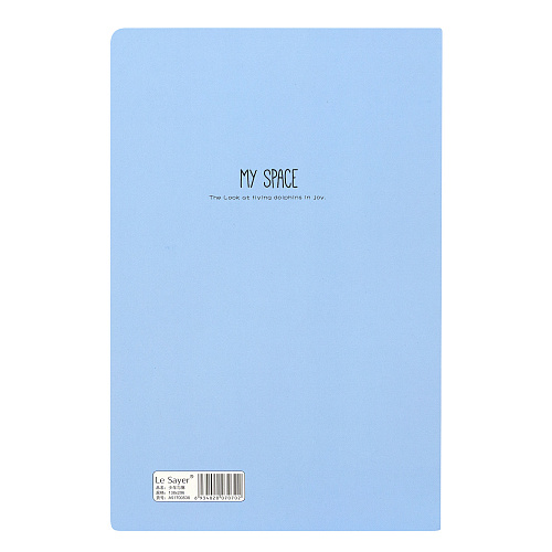 Тетрадь "My space" (мальчик на мосту)
