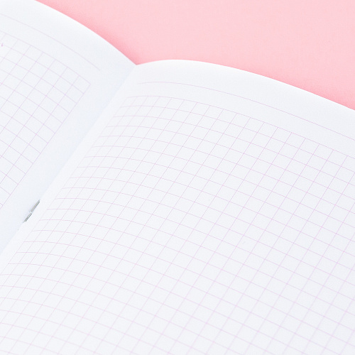 Тетрадь в розовую клетку А4 "Кактусы"