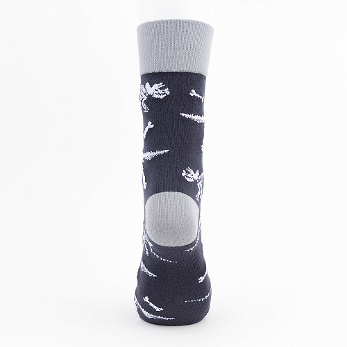 Носки "Динозавры", разм.40-45