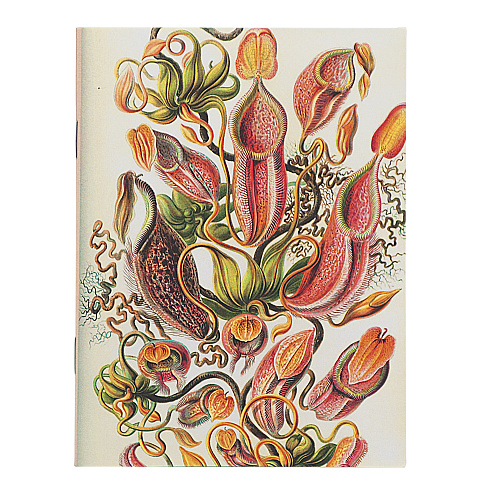 Мини-блокнот "Botanical atlas"