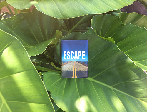 Обложка на автодокументы "Escape" день