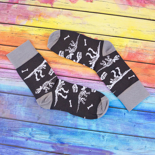 Носки "Динозавры", разм.40-45