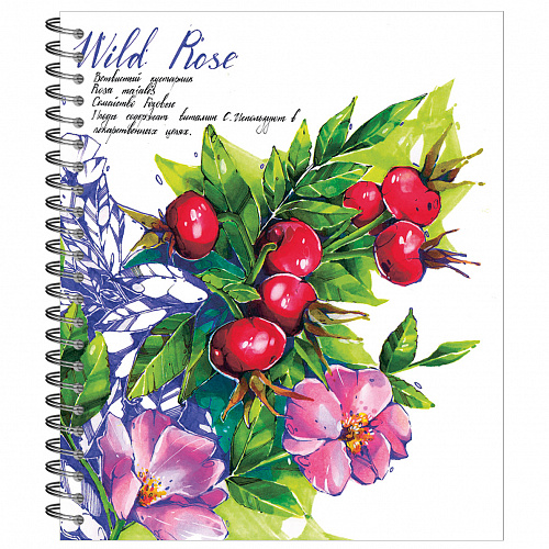 Тетрадь общая 48л на гребне, "Ботаника" шиповник