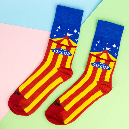 Носки "Шапито", разм.40-45