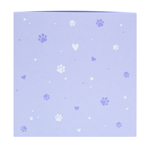 Набор носков в коробке "Корги и котики"