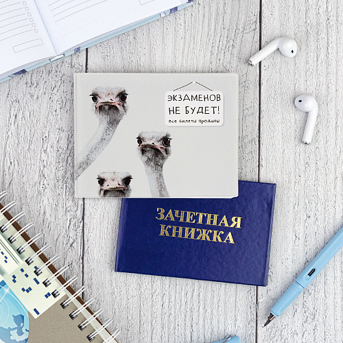 Обложка на зачетную книжку "Страусы"