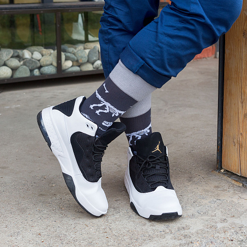 Носки "Динозавры", разм.40-45