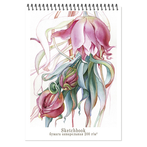 Блокнот-скетчбук А4 20л, " Aquarelle" роза