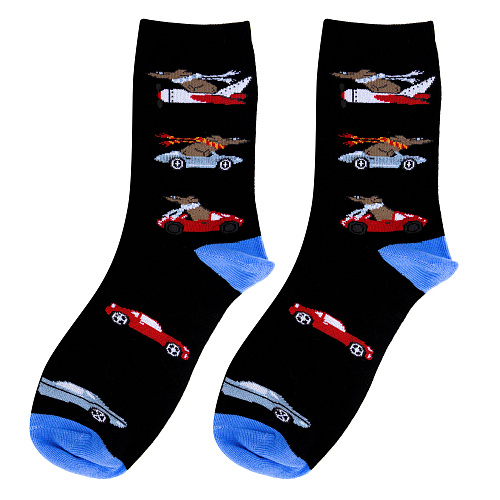 Носки "Гонки", разм.40-45