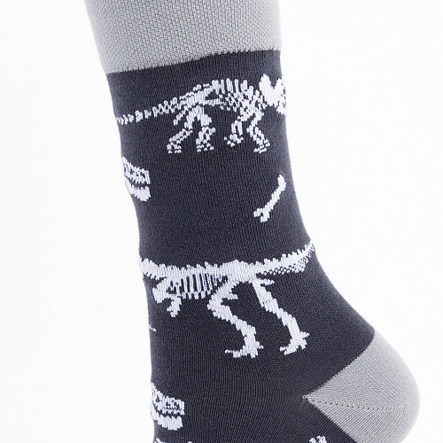 Носки "Динозавры", разм.40-45