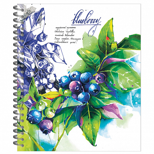 Тетрадь общая 48л на гребне, "Ботаника" черника