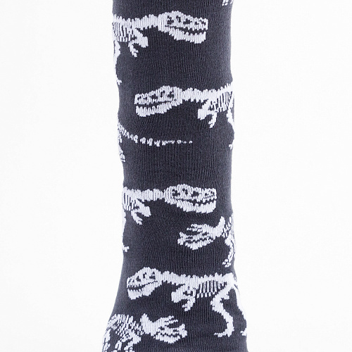 Носки "Динозавры", разм.40-45