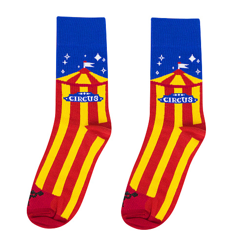 Носки "Шапито", разм.40-45