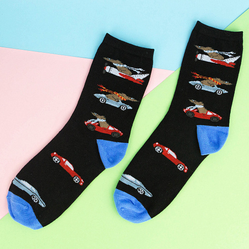 Носки "Гонки", разм.40-45