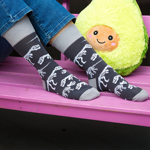 Носки "Динозавры", разм.40-45