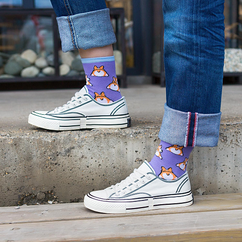 Носки "Корги-релакс", разм.35-39