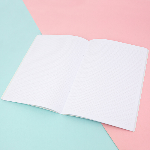 Тетрадь в розовую клетку А4 "Кактусы"