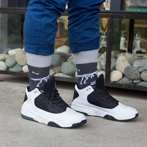 Носки "Динозавры", разм.40-45