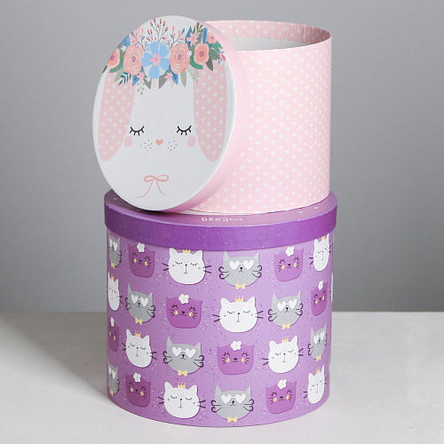 Подарочная коробка «Зверята», 17,5 × 20 см (коты)