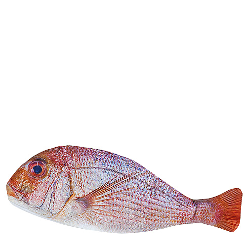 Пенал "Big Fish" (красный)