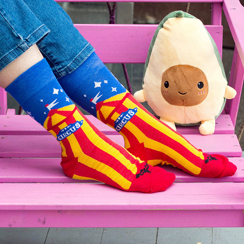 Носки "Шапито", разм.40-45