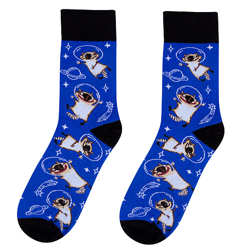 Носки "Еноты-астронавты", разм.40-45