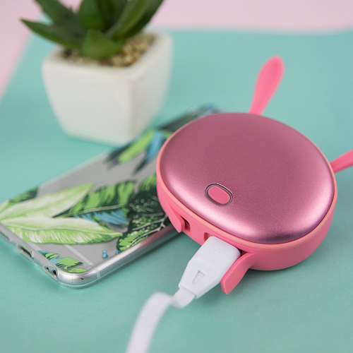 Зарядное устройство-аккумулятор "Грелка-кролик"