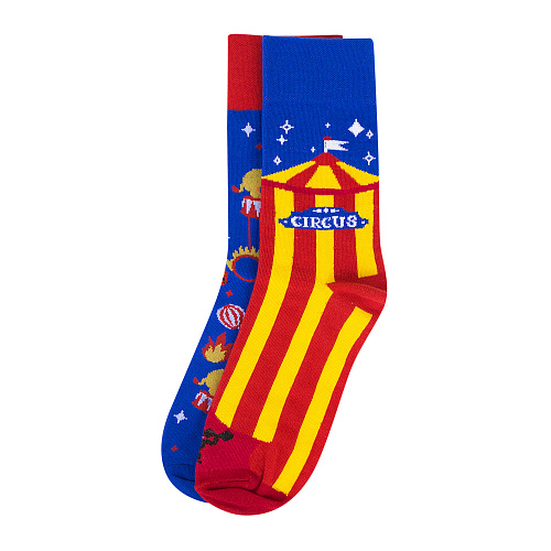 Носки "Цирк", разм.40-45
