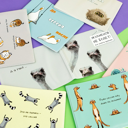 Обложка на зачетную книжку "Гуси"