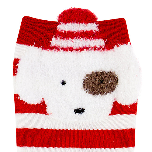 Носки собака