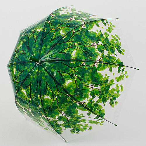 Зонт прозрачный "Greenery"