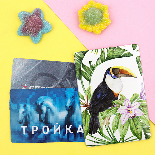 Держатель для проездного "Тукан"